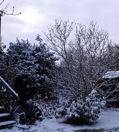 Monteur Oder Ferienwohnung Appartamento *