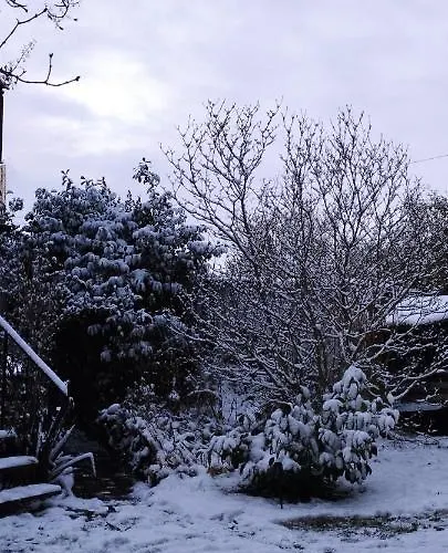 Monteur Oder Ferienwohnung Apartament *